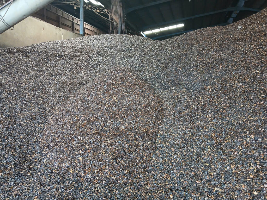 Z6801938900991_449e3d3e2bf7f6a79100b424e4c01a74