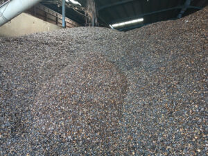 Z6801938900991_449e3d3e2bf7f6a79100b424e4c01a74