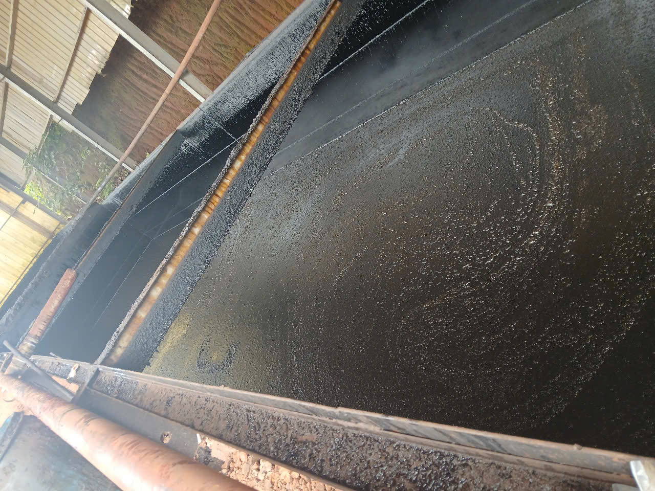 Z6851342403294_9f0585c4479097ae4bde9fd3ebd9c7b0 Z6851342403294_9f0585c4479097ae4bde9fd3ebd9c7b0