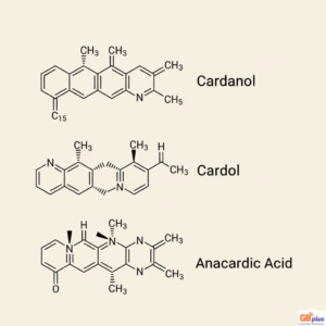 Thanh Phan Dau Vo Hat Dieu