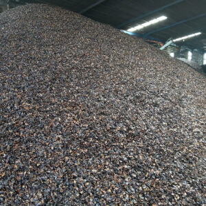 Z6801938836788_11e36b560a5510bc0ac300d0f7738b8a