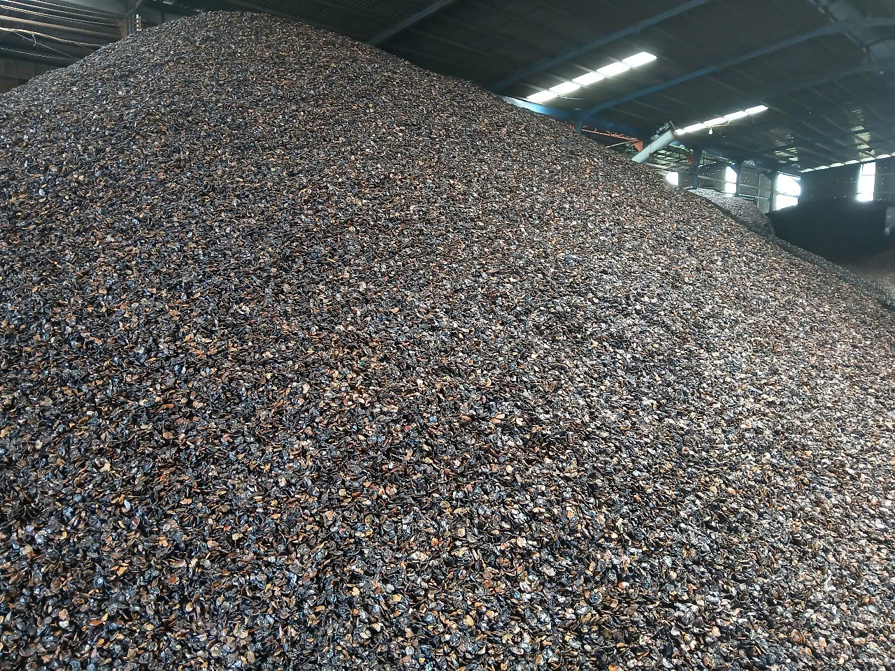 Z6801938836788_11e36b560a5510bc0ac300d0f7738b8a Z6801938836788_11e36b560a5510bc0ac300d0f7738b8a